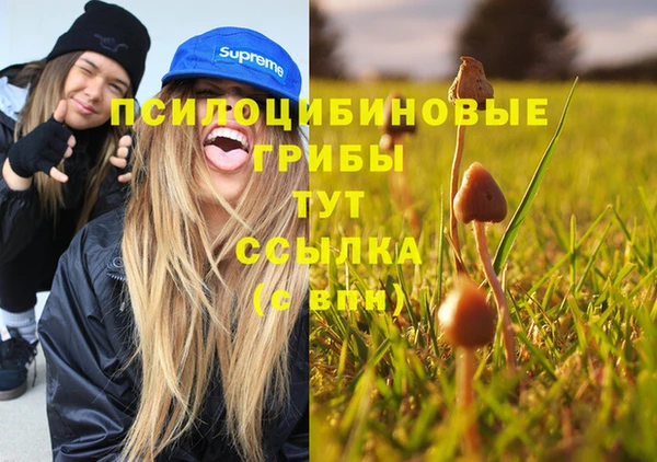 кокаин Алексин